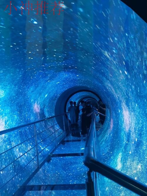 星空探秘最佳玩法地点推荐 星空探秘最佳玩法地点推荐