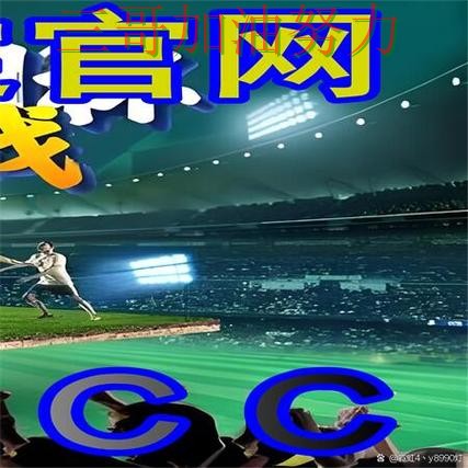 世界杯买球网站入口汇总总结：如何操作关键点解析（世界杯直播）